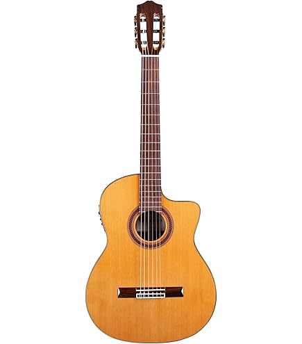 Amazon.com: Godin Multiac Nylon Encore Acoustic Electric Classical